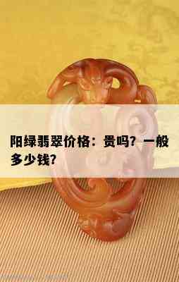 阳绿翡翠价格：贵吗？一般多少钱？