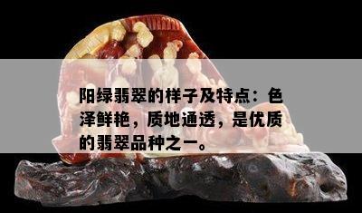 阳绿翡翠的样子及特点：色泽鲜艳，质地通透，是优质的翡翠品种之一。