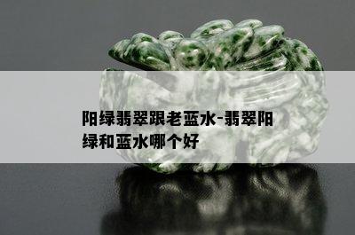 阳绿翡翠跟老蓝水-翡翠阳绿和蓝水哪个好