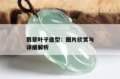 翡翠叶子造型：图片欣赏与详细解析