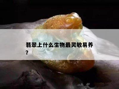 翡翠上什么生物最灵敏易养？