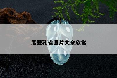 翡翠孔雀图片大全欣赏