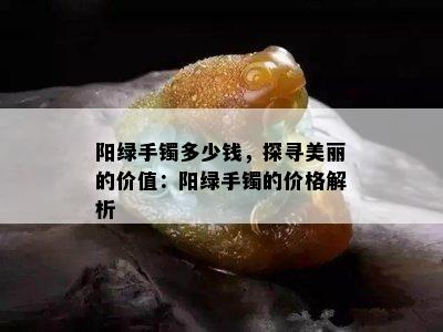 阳绿手镯多少钱，探寻美丽的价值：阳绿手镯的价格解析