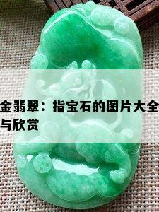 金翡翠：指宝石的图片大全与欣赏