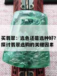 买翡翠：选色还是选种好？探讨翡翠选购的关键因素