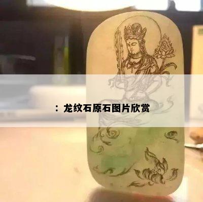 ：龙纹石原石图片欣赏