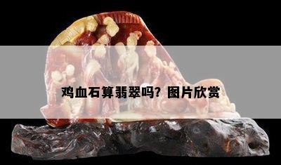 鸡血石算翡翠吗？图片欣赏