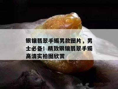 银镶翡翠手镯男款图片，男士必备！精致银镶翡翠手镯高清实拍图欣赏