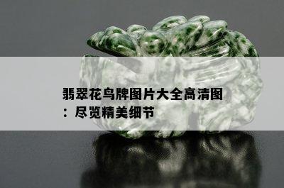 翡翠花鸟牌图片大全高清图：尽览精美细节