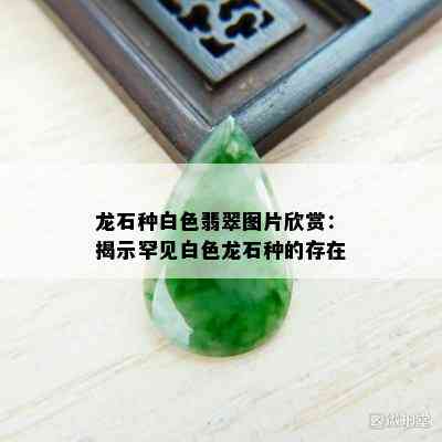 龙石种白色翡翠图片欣赏：揭示罕见白色龙石种的存在