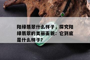 阳绿翡翠什么样子，探究阳绿翡翠的美丽面貌：它到底是什么样子？