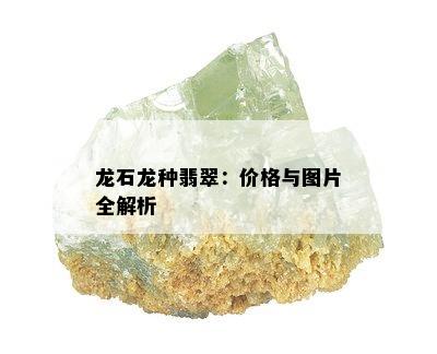 龙石龙种翡翠：价格与图片全解析