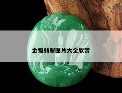 金镶翡翠图片大全欣赏