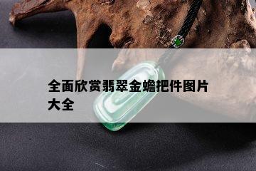 全面欣赏翡翠金蟾把件图片大全