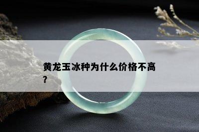 黄龙玉冰种为什么价格不高？