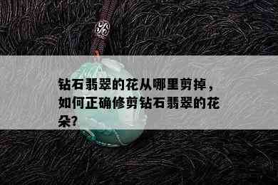 钻石翡翠的花从哪里剪掉，如何正确修剪钻石翡翠的花朵？