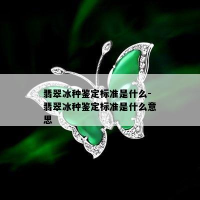 翡翠冰种鉴定标准是什么-翡翠冰种鉴定标准是什么意思