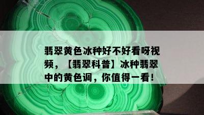 翡翠黄色冰种好不好看呀视频，【翡翠科普】冰种翡翠中的黄色调，你值得一看！