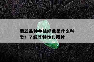 翡翠品种金丝绿色是什么种类？了解其特性和图片