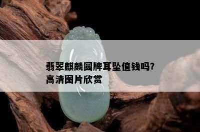 翡翠麒麟圆牌耳坠值钱吗？高清图片欣赏