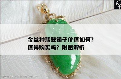 金丝种翡翠镯子价值如何？值得购买吗？附图解析