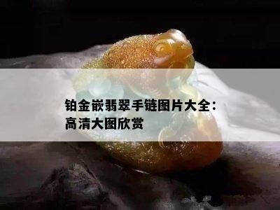 铂金嵌翡翠手链图片大全：高清大图欣赏