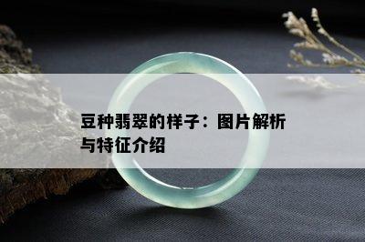 豆种翡翠的样子：图片解析与特征介绍