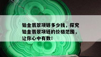 铂金翡翠项链多少钱，探究铂金翡翠项链的价格范围，让你心中有数！