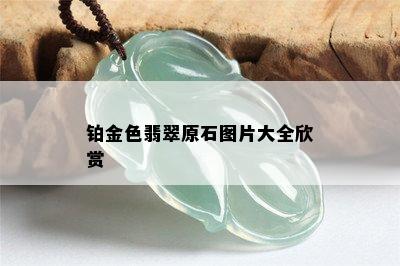 铂金色翡翠原石图片大全欣赏