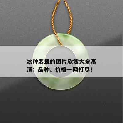 冰种翡翠的图片欣赏大全高清：品种、价格一网打尽！