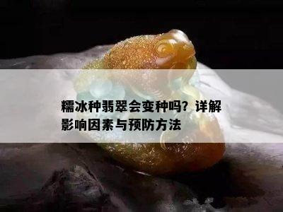 糯冰种翡翠会变种吗？详解影响因素与预防方法