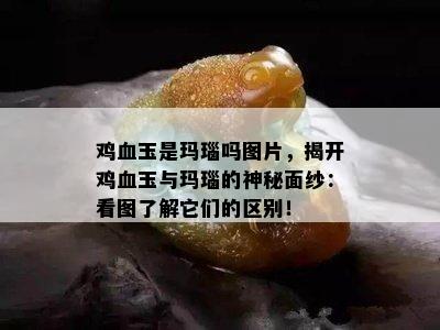 鸡血玉是玛瑙吗图片，揭开鸡血玉与玛瑙的神秘面纱：看图了解它们的区别！