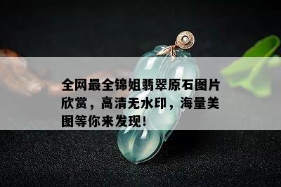 全网最全锦姐翡翠原石图片欣赏，高清无水印，海量美图等你来发现！