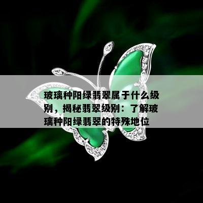 玻璃种阳绿翡翠属于什么级别，揭秘翡翠级别：了解玻璃种阳绿翡翠的特殊地位