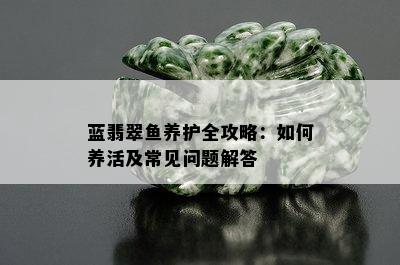 蓝翡翠鱼养护全攻略：如何养活及常见问题解答