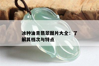 冰种油青翡翠图片大全：了解其档次与特点