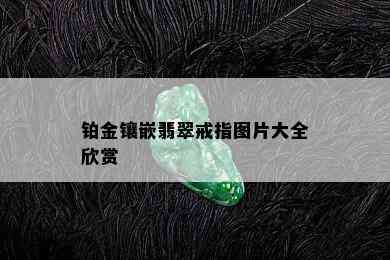 铂金镶嵌翡翠戒指图片大全欣赏