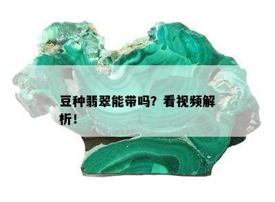 豆种翡翠能带吗？看视频解析！