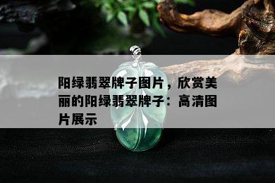 阳绿翡翠牌子图片，欣赏美丽的阳绿翡翠牌子：高清图片展示