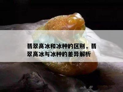 翡翠高冰和冰种的区别，翡翠高冰与冰种的差异解析