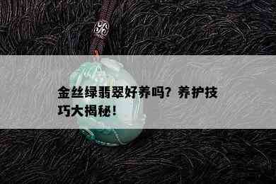 金丝绿翡翠好养吗？养护技巧大揭秘！