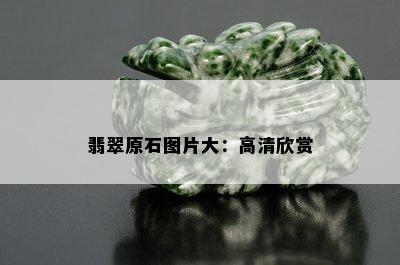 翡翠原石图片大：高清欣赏