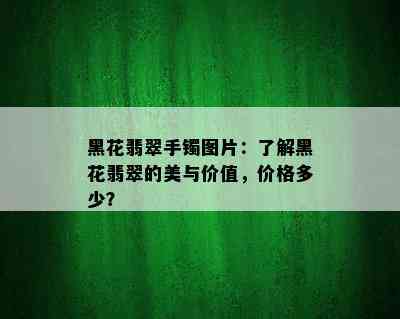 黑花翡翠手镯图片：了解黑花翡翠的美与价值，价格多少？