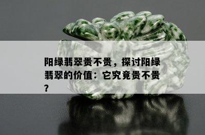 阳绿翡翠贵不贵，探讨阳绿翡翠的价值：它究竟贵不贵？