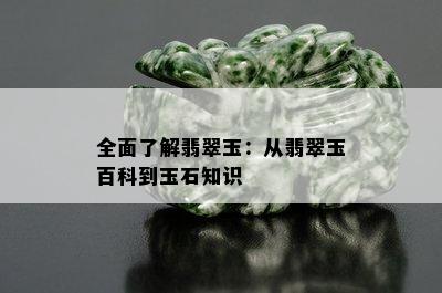 全面了解翡翠玉：从翡翠玉百科到玉石知识