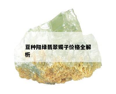 豆种阳绿翡翠镯子价格全解析