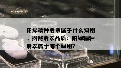 阳绿糯种翡翠属于什么级别，揭秘翡翠品质：阳绿糯种翡翠属于哪个级别？