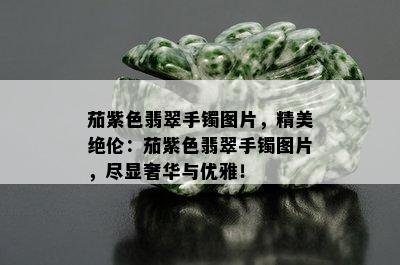 茄紫色翡翠手镯图片，精美绝伦：茄紫色翡翠手镯图片，尽显奢华与优雅！