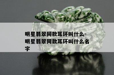 明星翡翠同款耳环叫什么-明星翡翠同款耳环叫什么名字