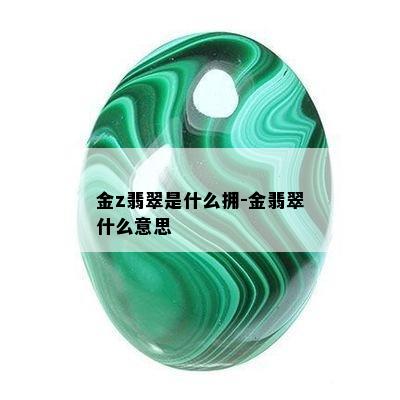 金z翡翠是什么拥-金翡翠什么意思